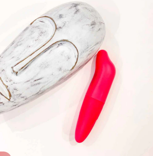 Dolphin G-Spot Mini Bullet Vibrator