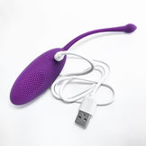 Insertable G-spot Remote Controlled Vibrator